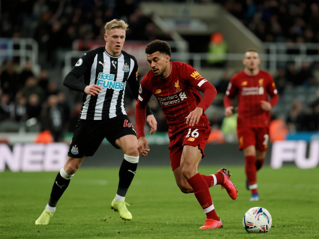 乏足够敬畏 乏足够敬畏